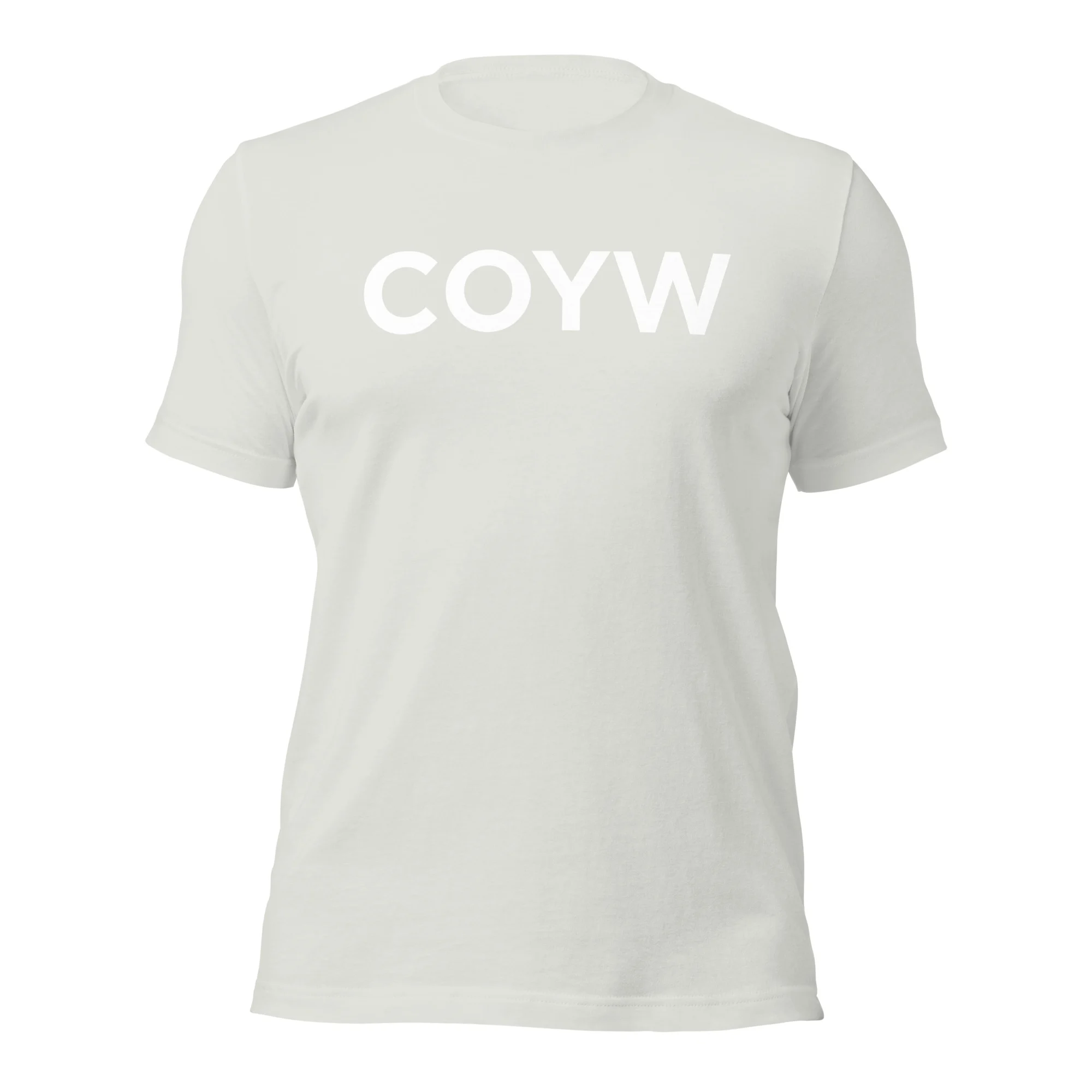 We Are Fulham Tee silver unisex t-shirt front view – Fulham FC supporter merch by The Riverside Co.